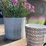 Nocleg ze śniadaniem Hostellerie Horst 3*