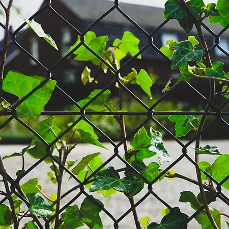 Bed & Breakfast Hostellerie Horst