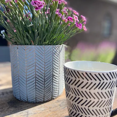 ベッド・アンド・ブレックファスト Hostellerie Horst 3*