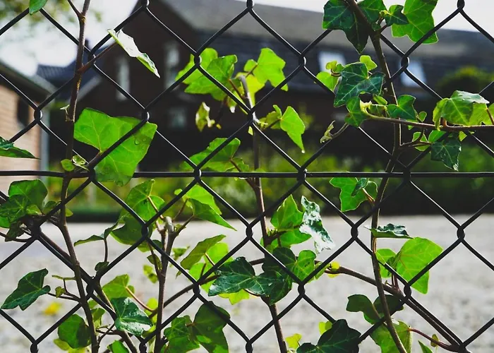 Frühstückspension Hostellerie Horst