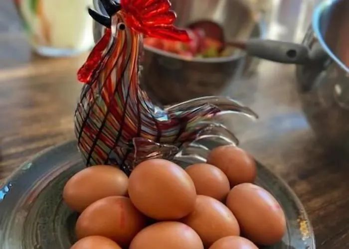 Hostellerie Horst Frühstückspension