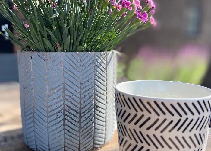 Frühstückspension Hostellerie Horst 3*